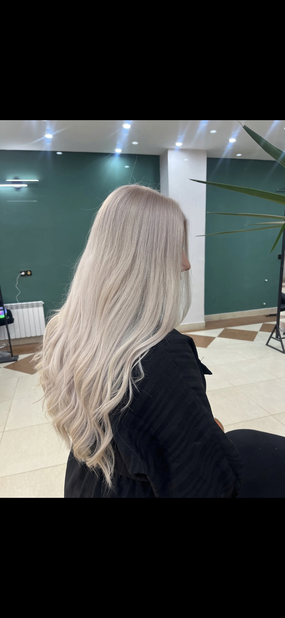 نفیسه — رنگ و لایت